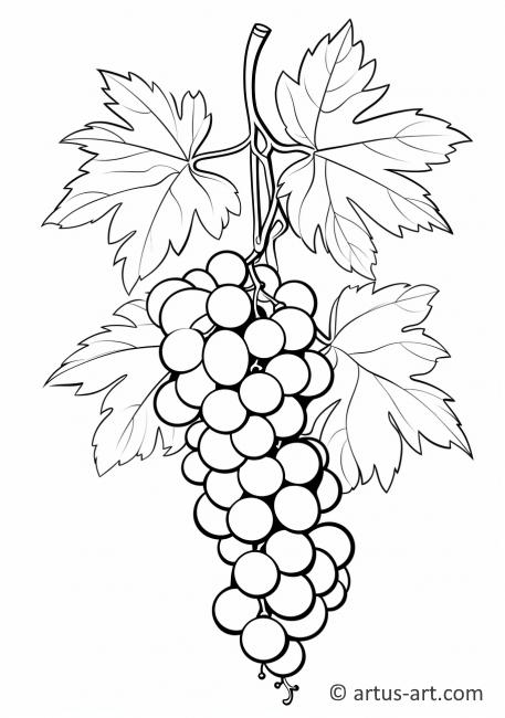 Página para colorear de uvas